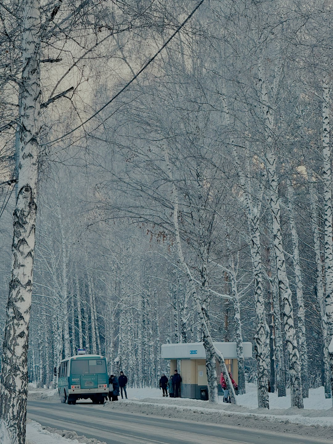 Passasjerer venter på buss langs en snødekt skogsvei.